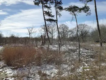 De Panne in de sneeuw (België)